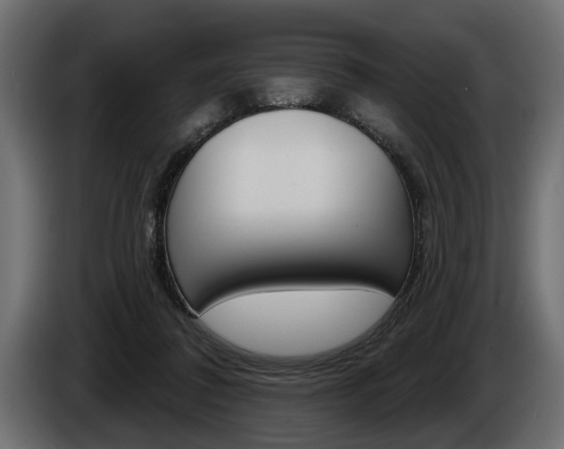 X0000086000308200703230855