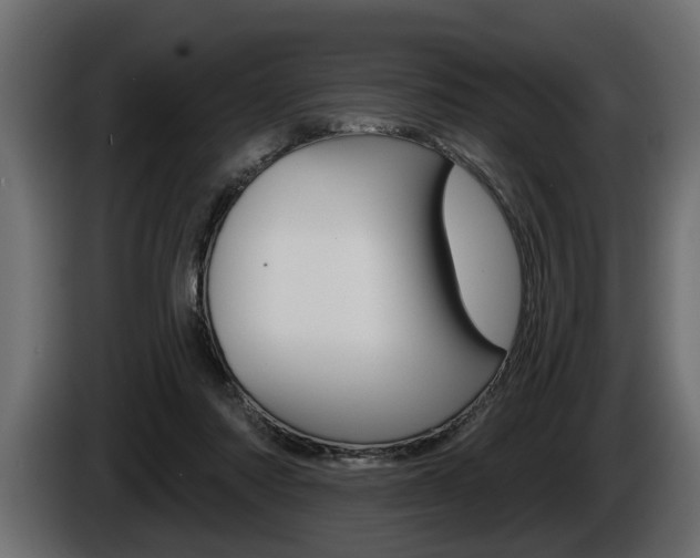 X0000086000310200703230855