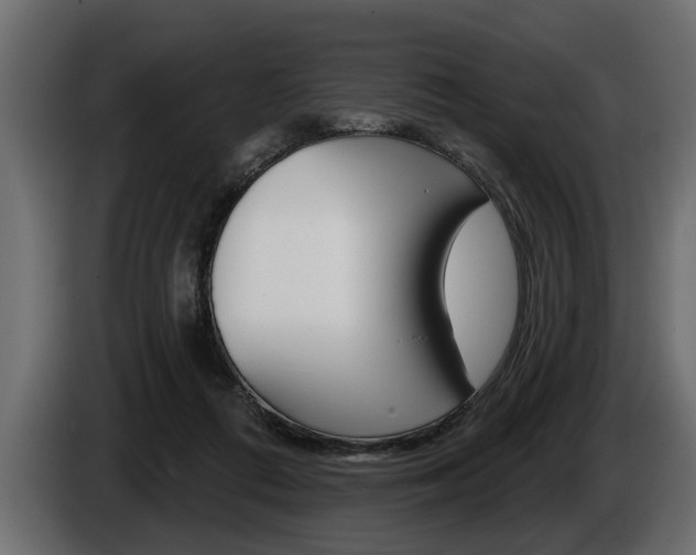 X0000086000312200703230855
