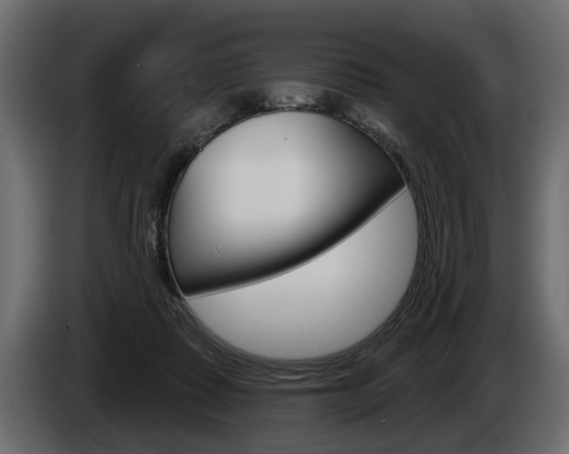 X0000086000315200703230855
