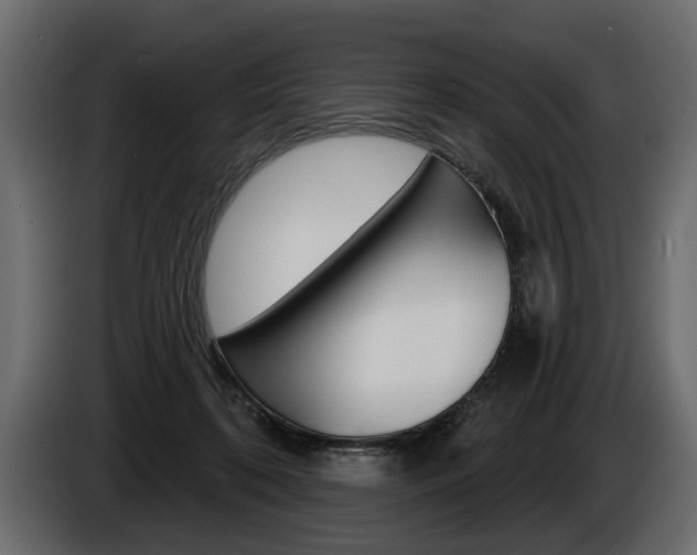 X0000086000316200703230855