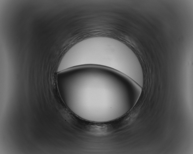 X0000086000317200703230855