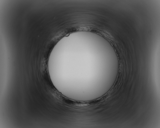 X0000086000318200703230855
