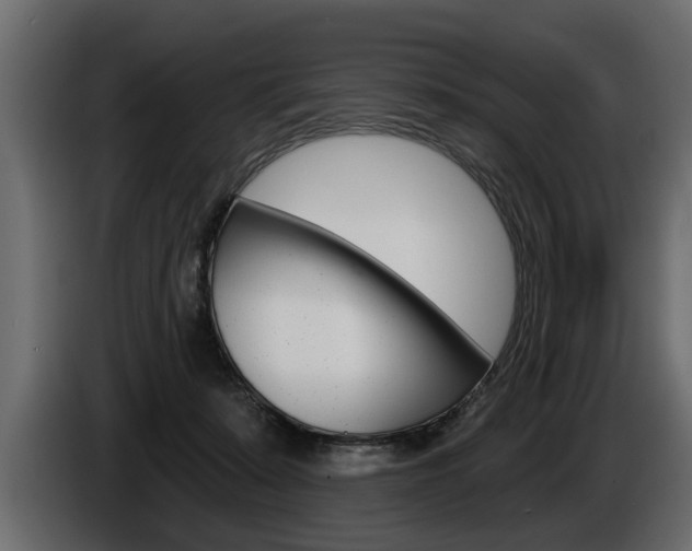 X0000086000319200703230855