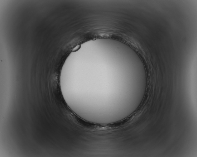 X0000086000321200703230855
