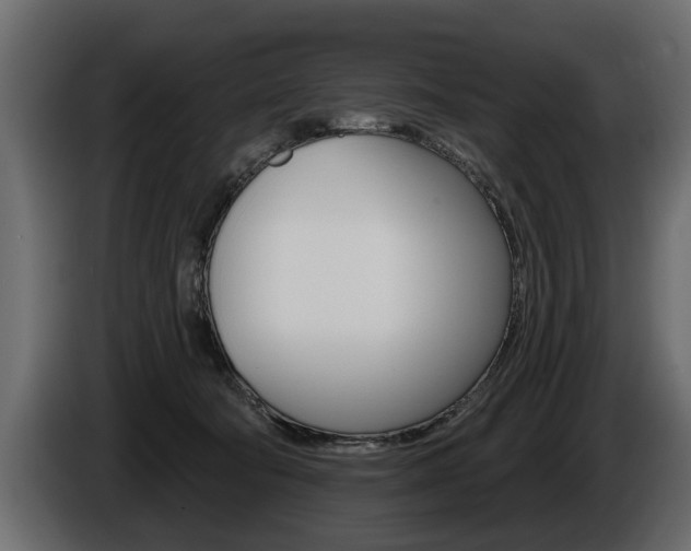 X0000086000322200703230855