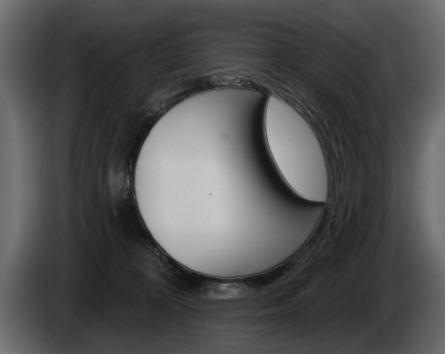 X0000086000324200703230854