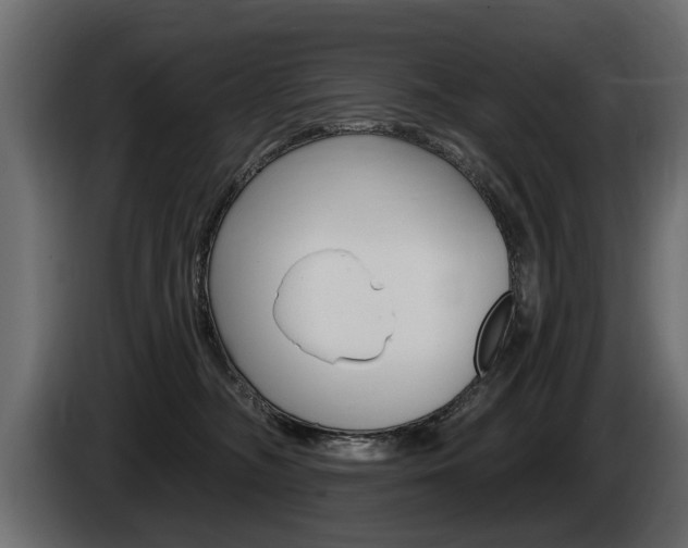 X0000086000326200703230854