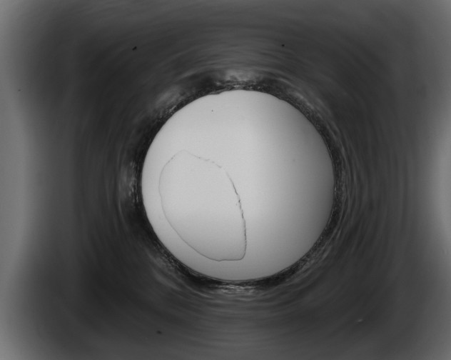 X0000086000328200703230854