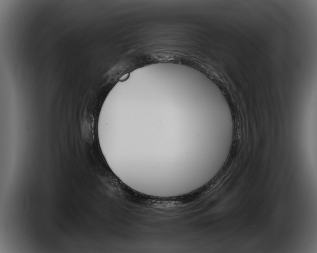 X0000086000332200703230854