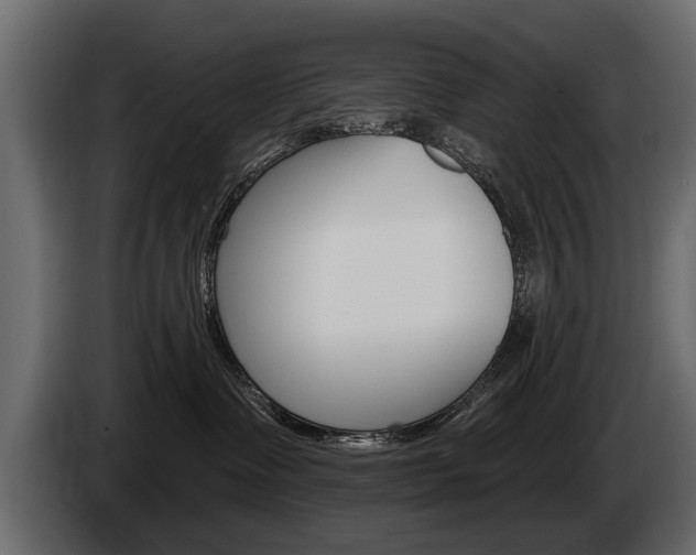X0000086000335200703230854
