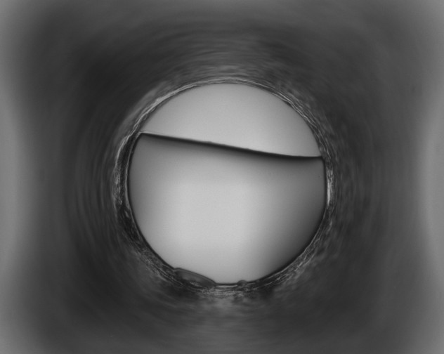 X0000086000339200703230854