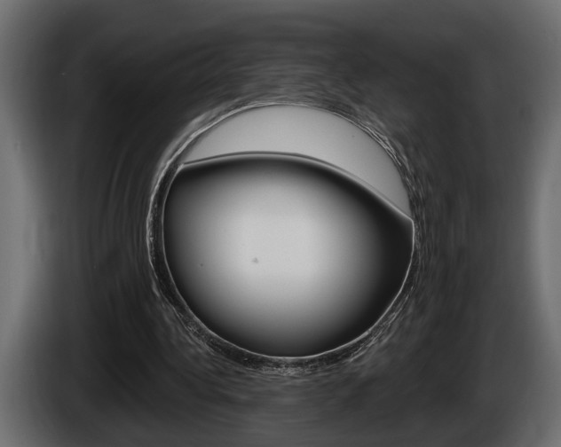 X0000086000340200703230854