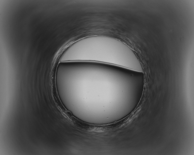 X0000086000341200703230854