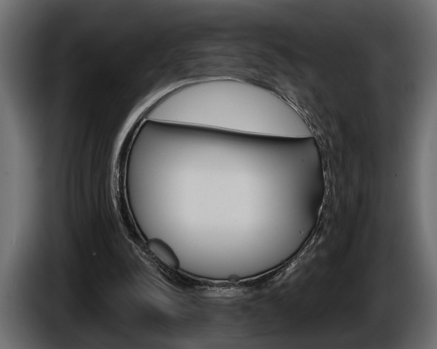 X0000086000342200703230854