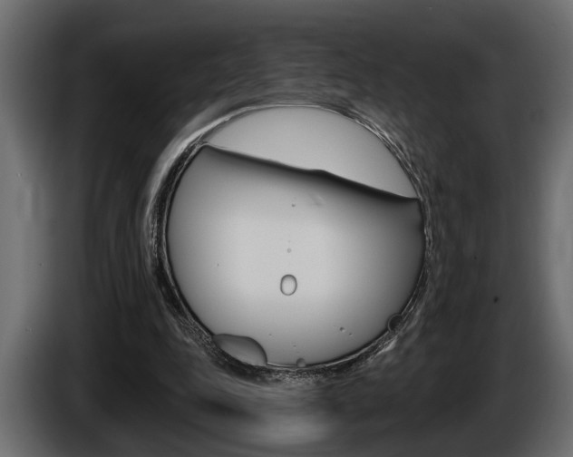 X0000086000343200703230854
