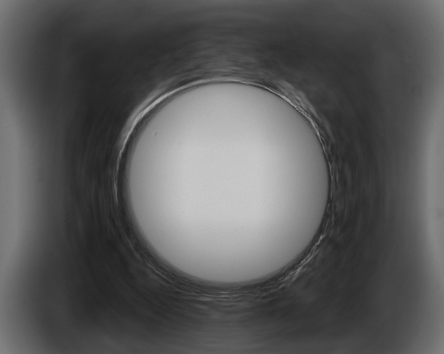 X0000086000344200703230854
