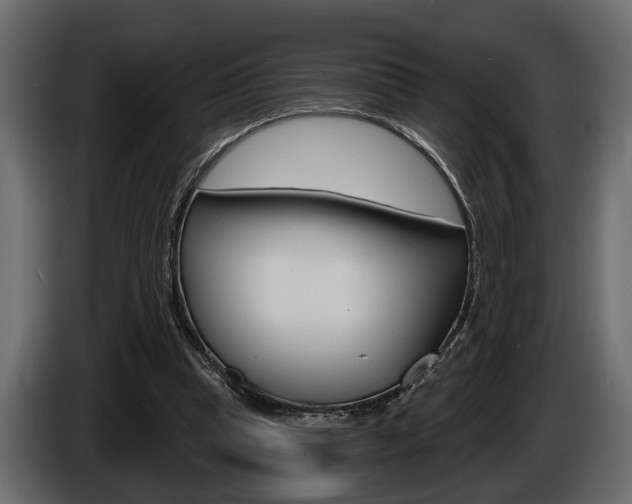 X0000086000345200703230854