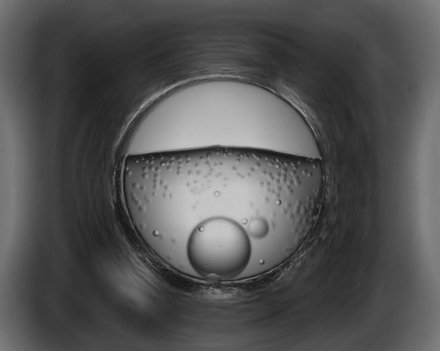 X0000086000346200703230854