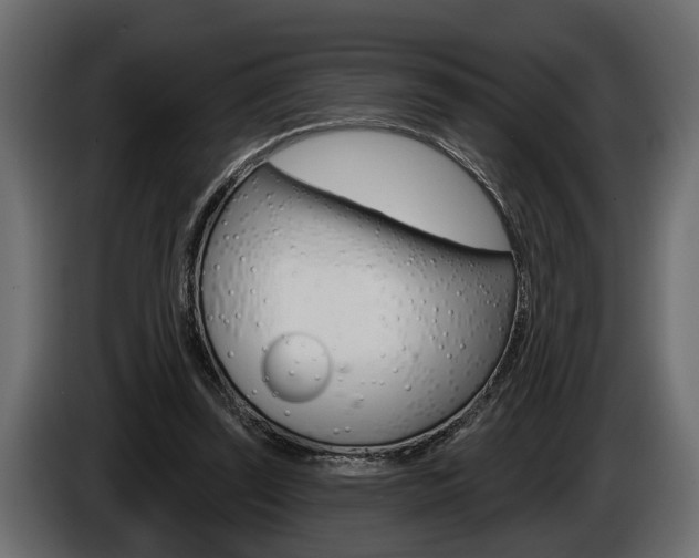 X0000086000347200703230854