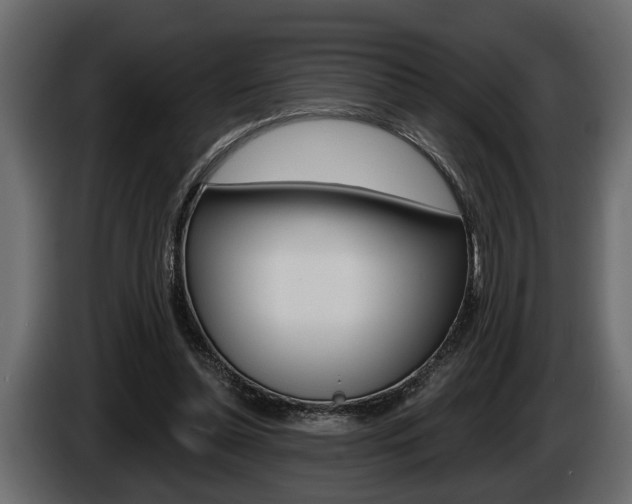 X0000086000348200703230854