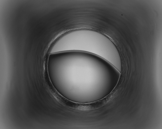 X0000086000350200703230854