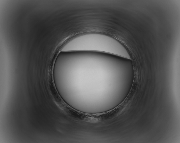 X0000086000352200703230854