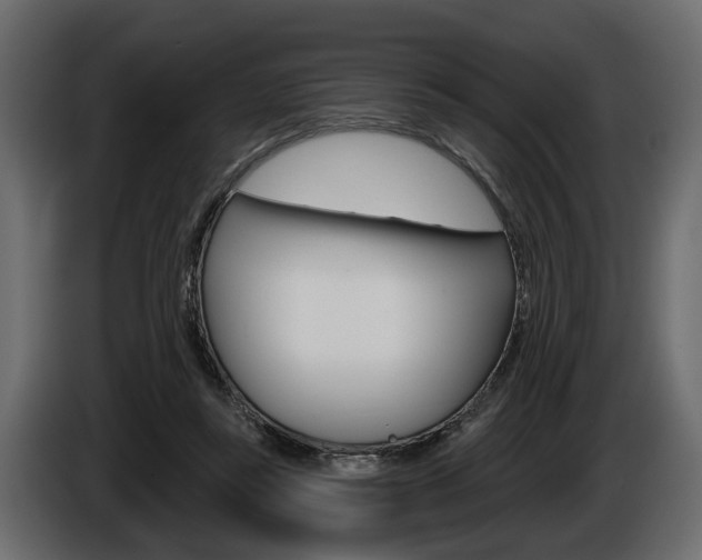 X0000086000355200703230854