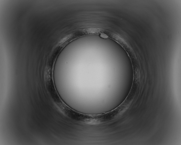 X0000086000356200703230854