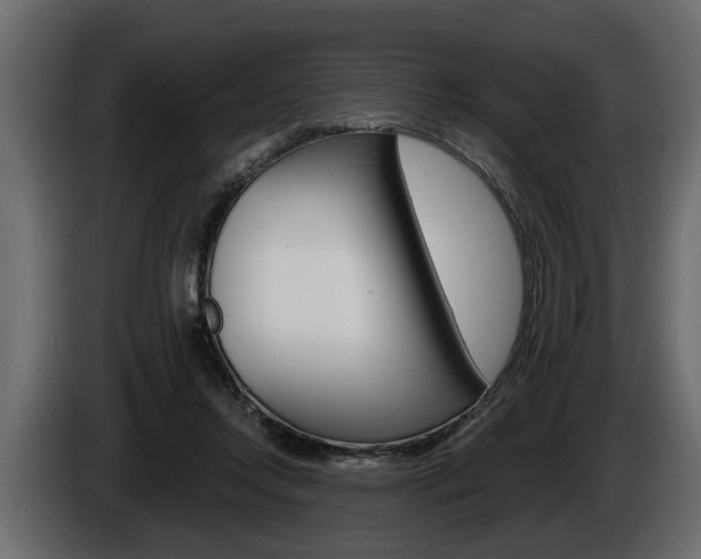 X0000086000358200703230854