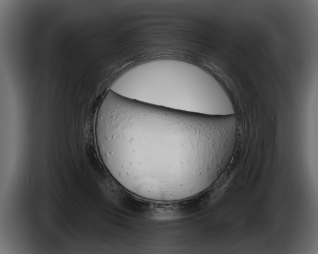 X0000086000359200703230854