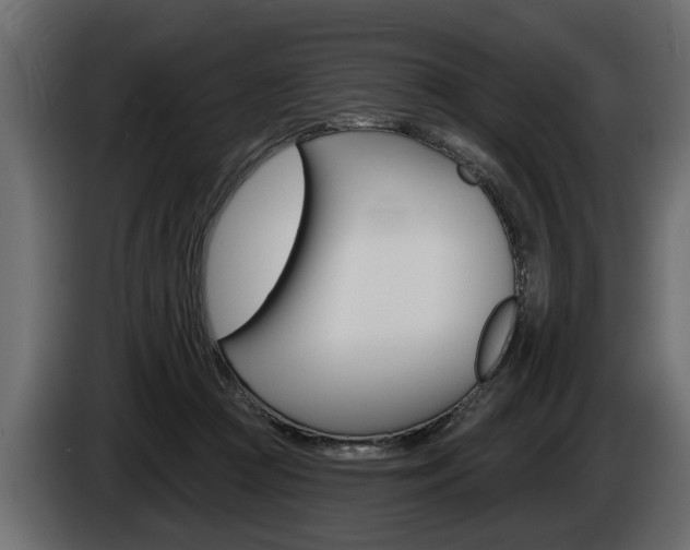X0000086000361200703230854