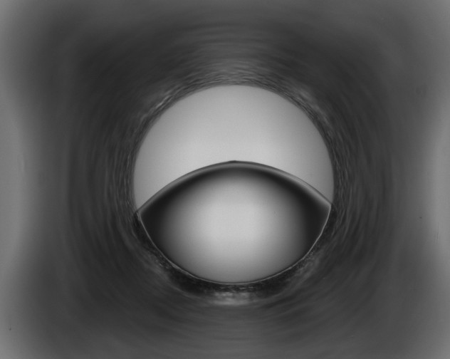 X0000086000362200703230854