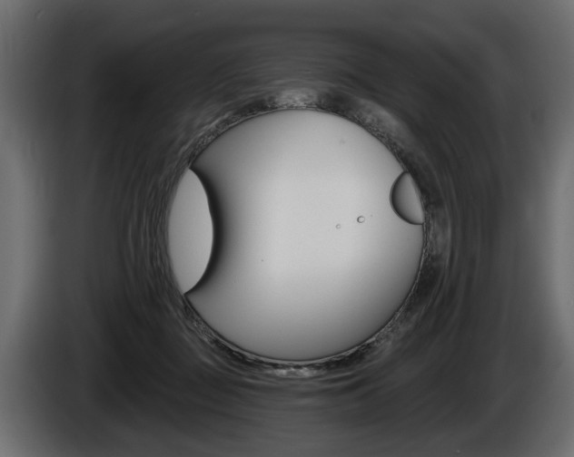 X0000086000363200703230854