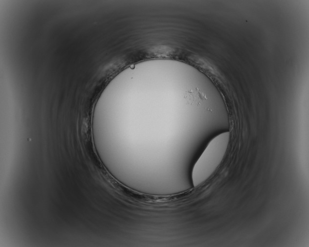 X0000086000365200703230854