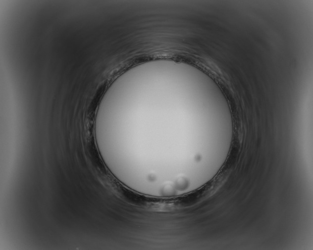 X0000086000366200703230854