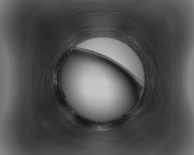 X0000086000368200703230854