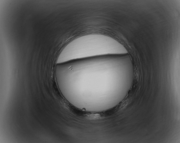 X0000086000374200703230854