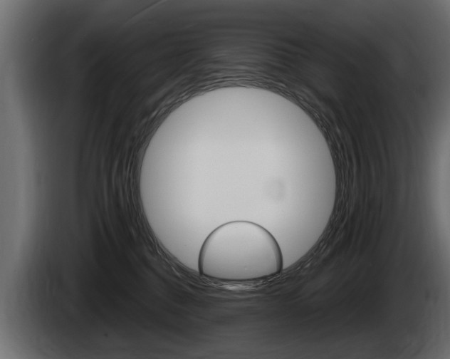 X0000086000376200703230854