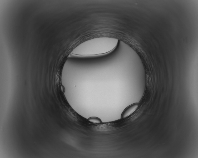X0000086000382200703230854