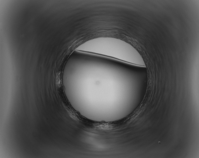 X0000086000383200703230854