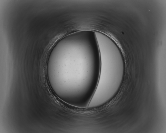 X0000086000385200703230854