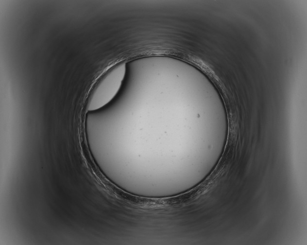 X0000086000386200703230854