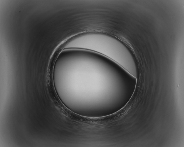 X0000086000388200703230854
