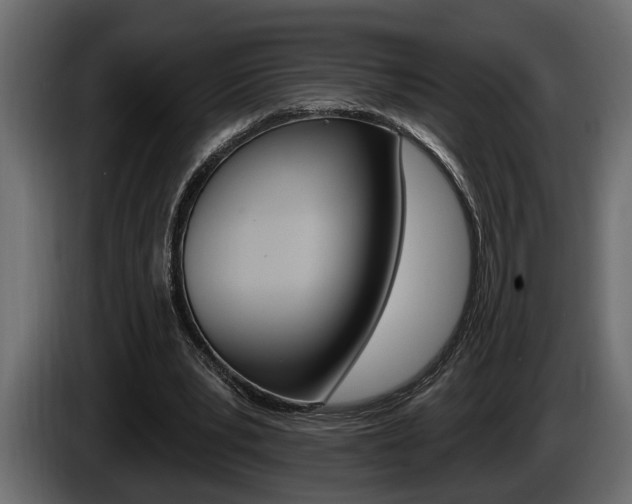 X0000086000391200703230854