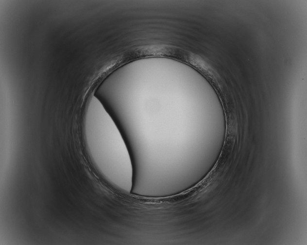 X0000086000394200703230854