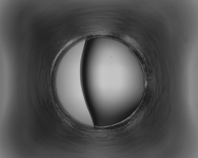X0000086000395200703230853