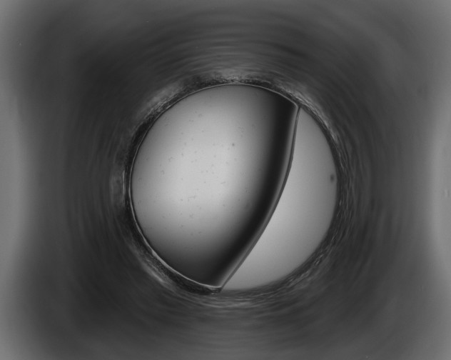 X0000086000397200703230853