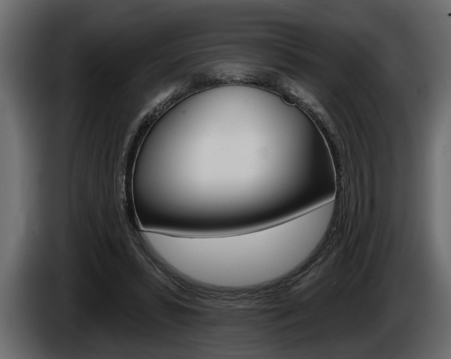 X0000086000399200703230853