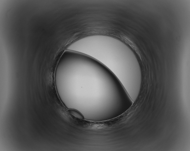 X0000086000401200703230853